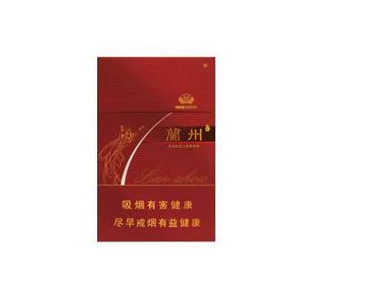 春节放烟花的过程怎么写作文三年级下册语文_春节放烟花的作文500字优秀作文